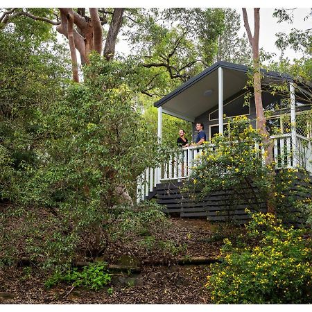 Discovery Parks - Lane Cove Сидни Екстериор снимка
