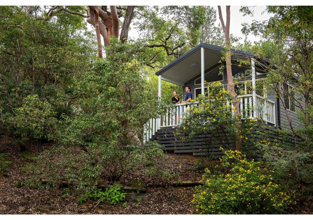 Discovery Parks - Lane Cove Сидни Екстериор снимка
