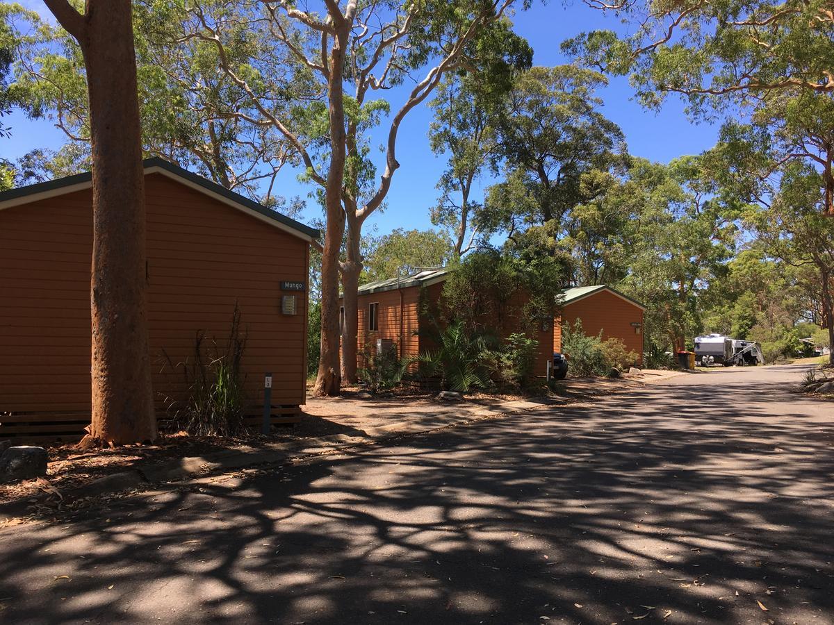 Discovery Parks - Lane Cove Сидни Екстериор снимка