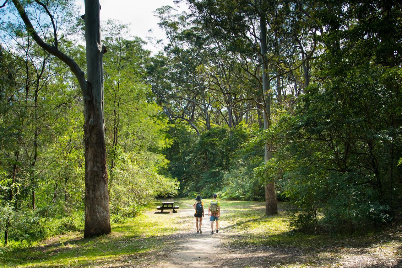 Discovery Parks - Lane Cove Сидни Екстериор снимка