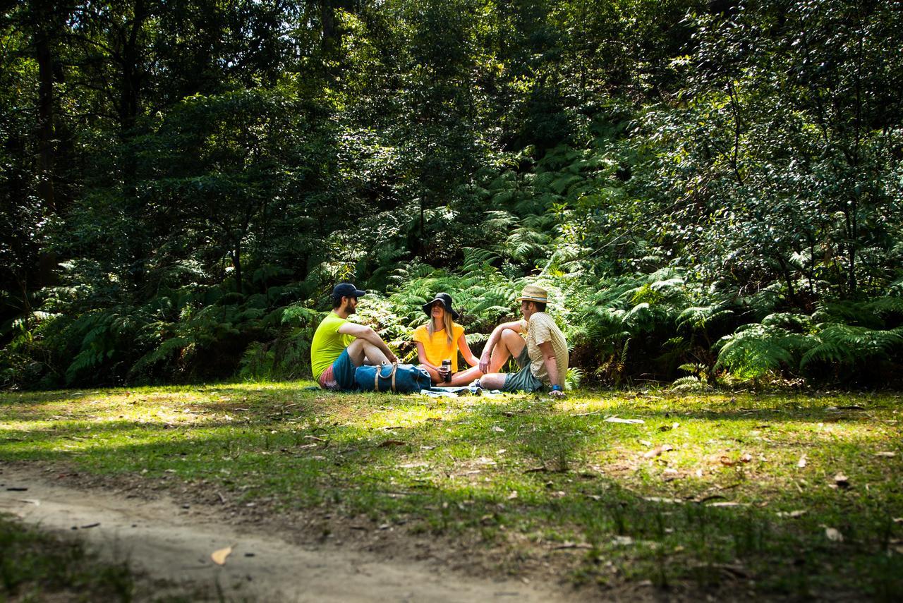 Discovery Parks - Lane Cove Сидни Екстериор снимка